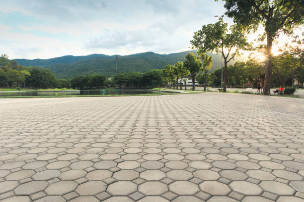 Best Cobblestone Driveway Pavers  in Burlington, WA